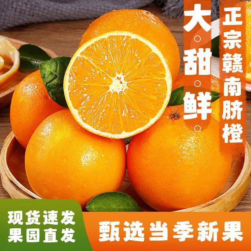 正宗赣南脐橙中果薄皮现摘应季水果产地直发坏果包赔