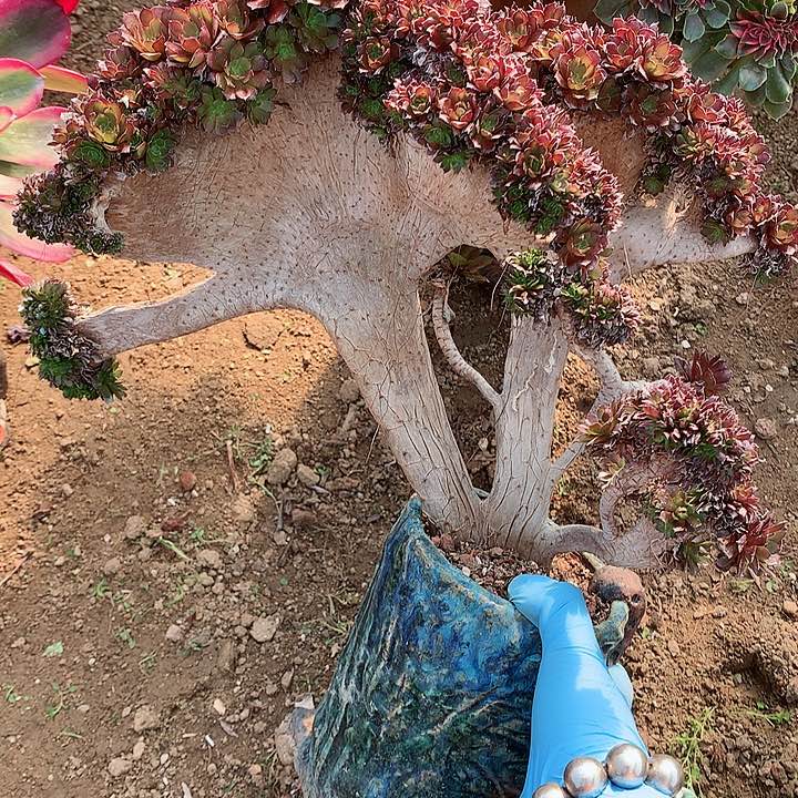 瑕疵黑铜壶朵朵脱土发货啊