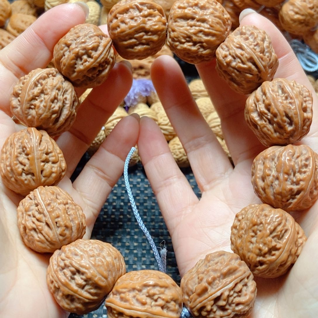 文玩核桃手串树王