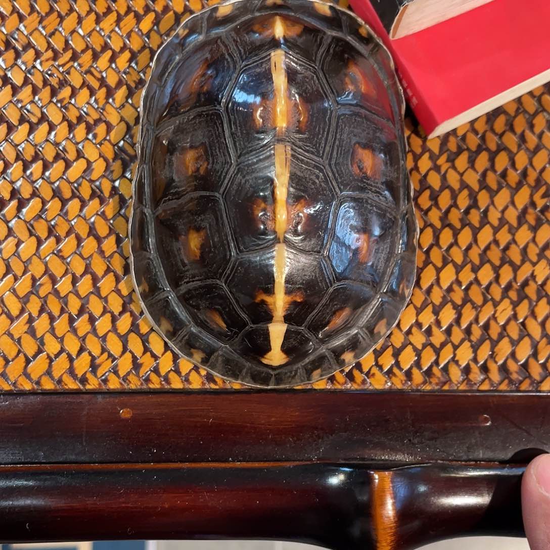 紫砂茶案用****7龟银茶则龟银茶则