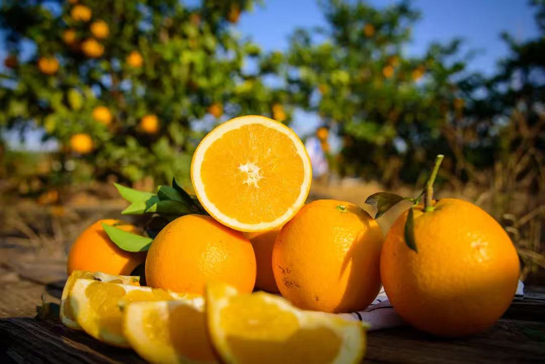 正宗赣南脐橙果园直发香甜多汁甜橙
