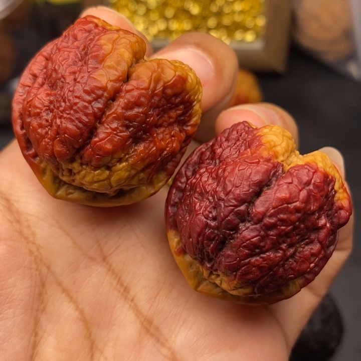 文玩核桃把件40尺蝴蝶蟾