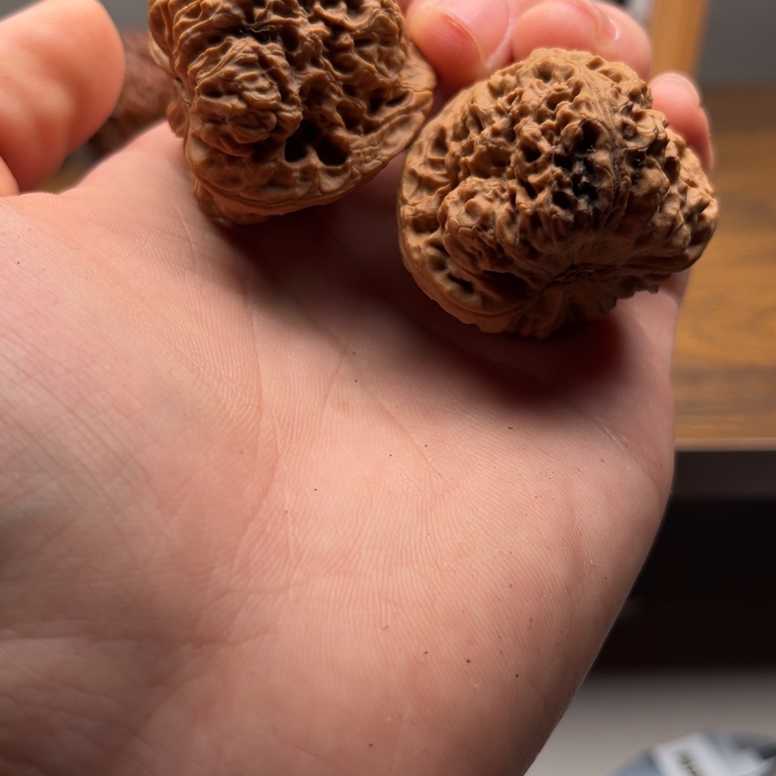 核桃手串/手链蟾疆