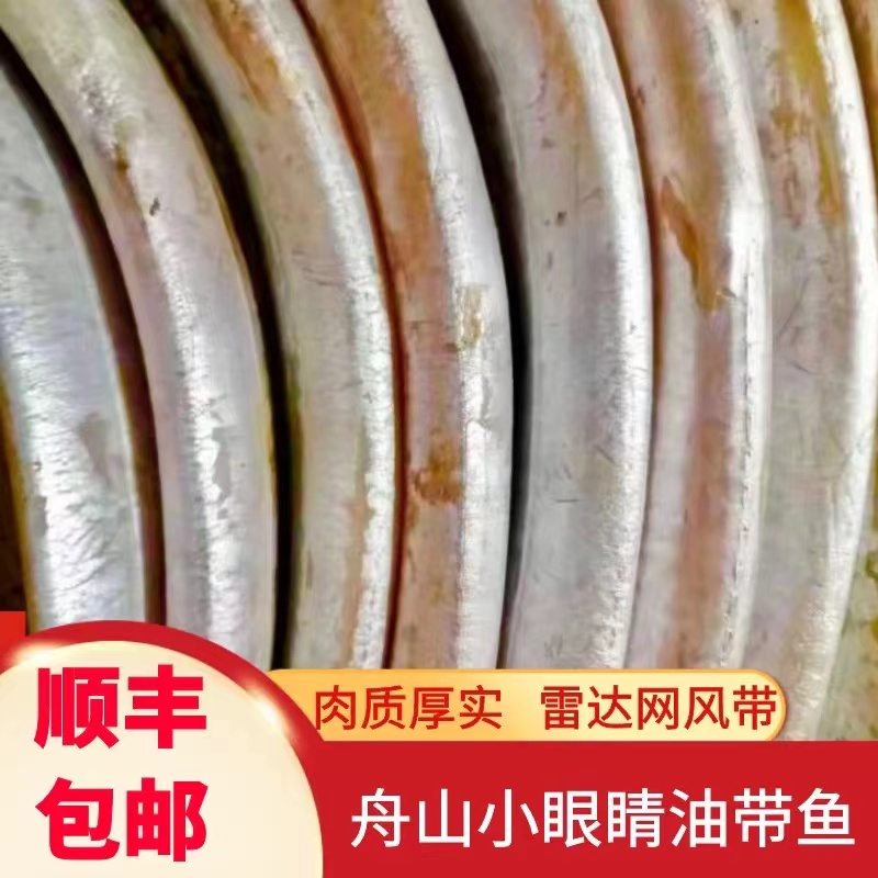 【顺丰包邮】舟山风带鱼 去头去尾雷达网小眼油带鱼咸带鱼段