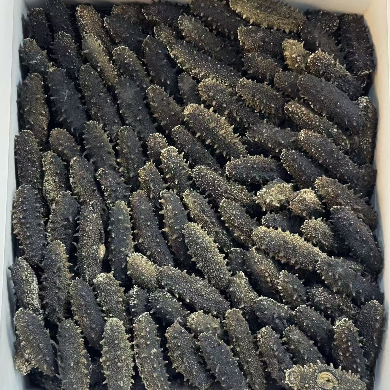 【宽少甄选】岛外特级大连干海参    （不是桃胶）