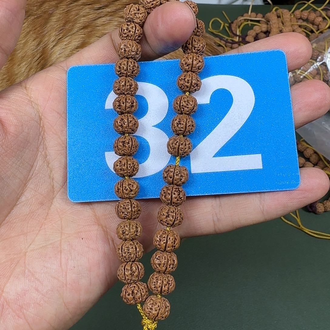 金刚菩提吊坠9树王。   32