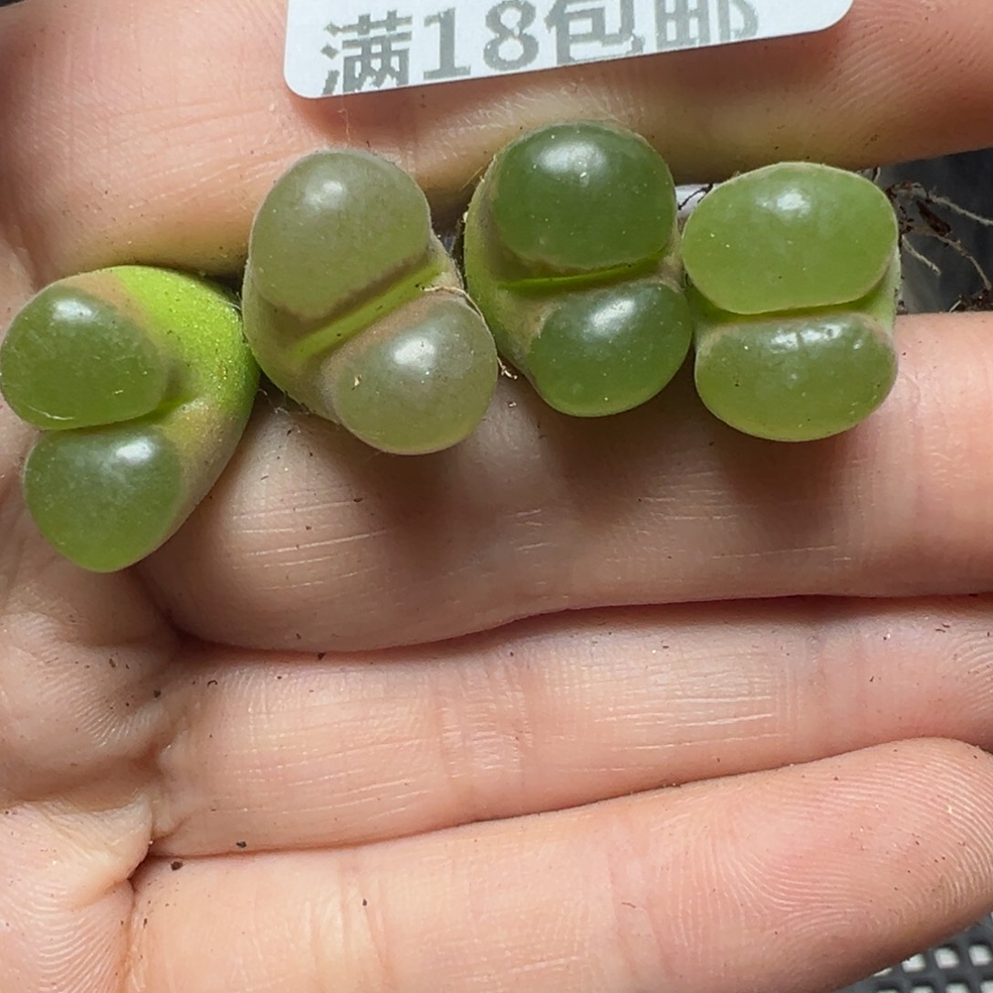 【闪购商品】458……