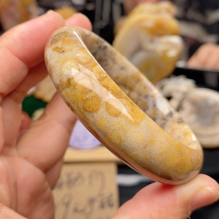 硅化珊瑚（珊瑚玉）手镯未镶嵌55