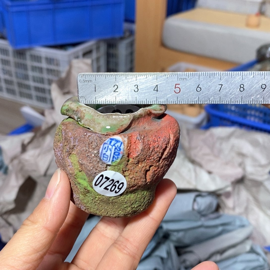 花盆拍3送一个小礼物