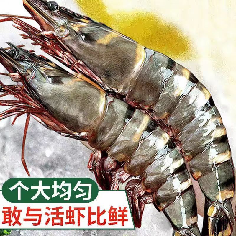 巨大黑虎虾一斤4只    二斤装8只/盒    顺丰冷链发货