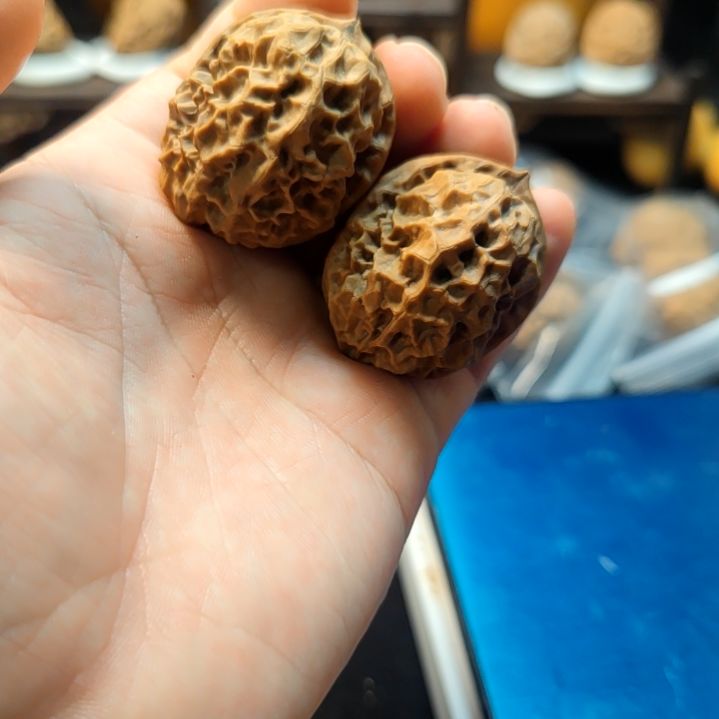 文玩核桃吊坠珊瑚王38尺