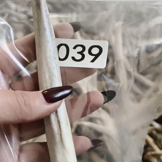 u***6鹿角鹿角鹿角鹿角鹿角鹿角