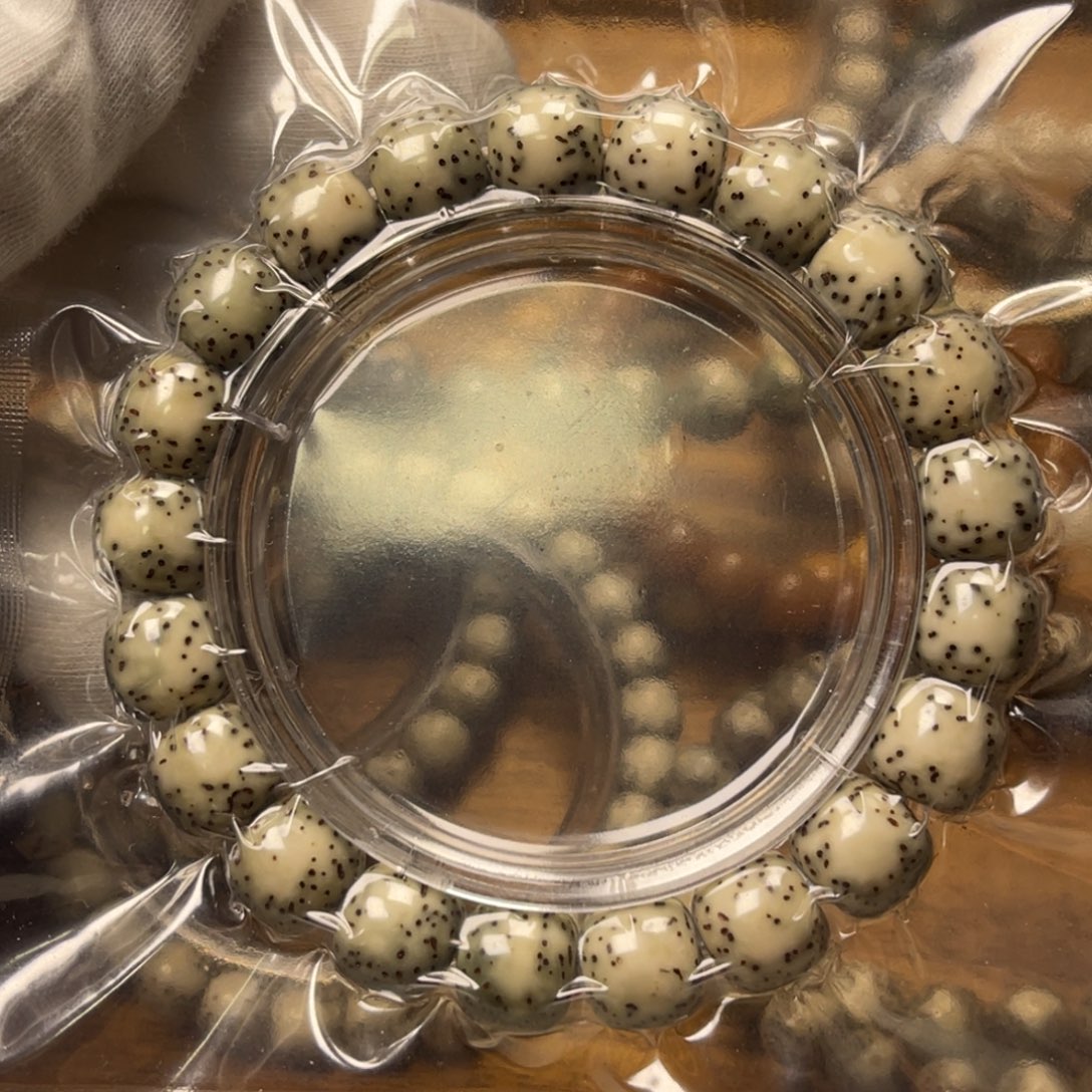 星月菩提手串福利大河豚