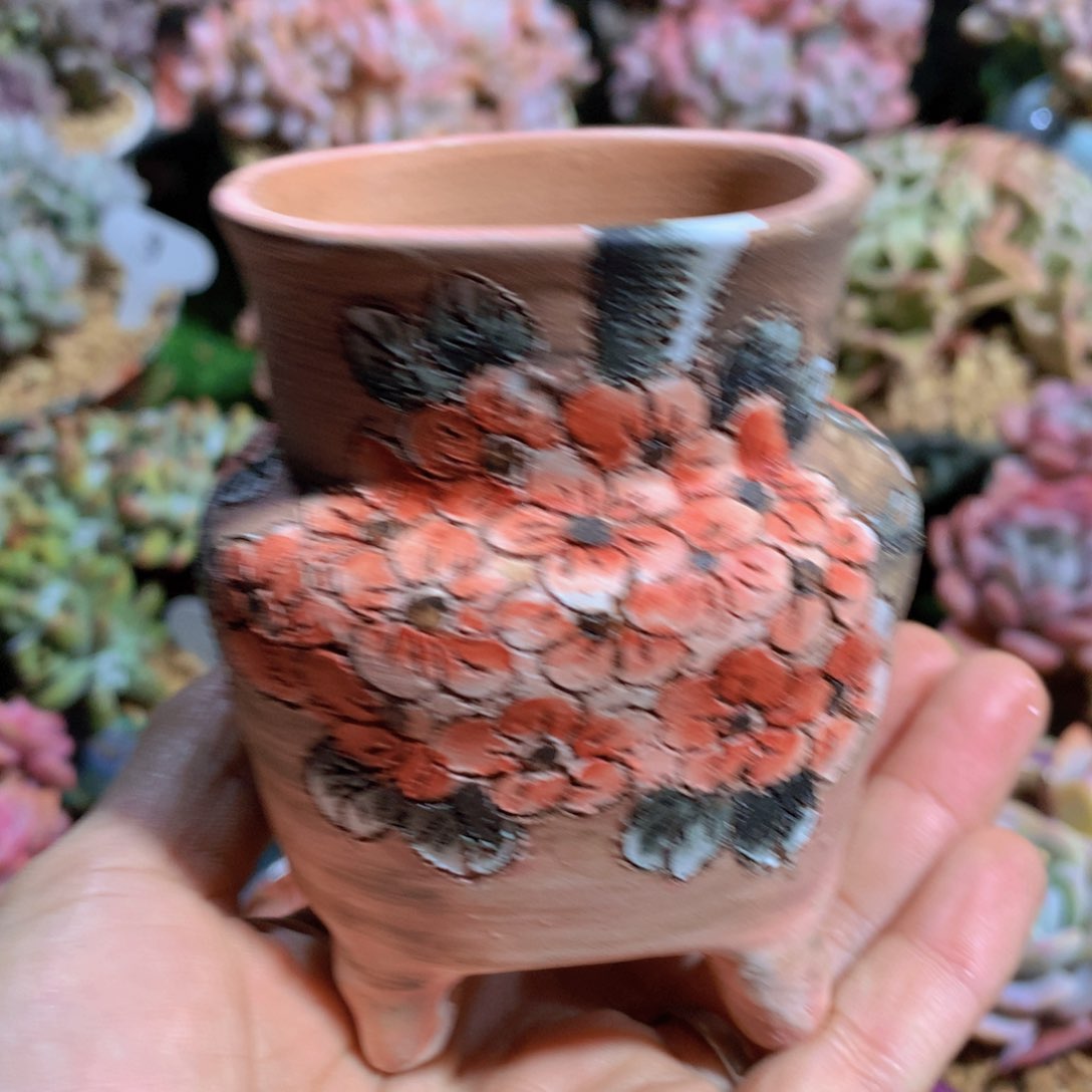 方*小盆盆一个一物一拍