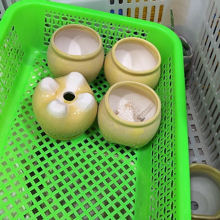 微瑕陶瓷花盆满9.9发