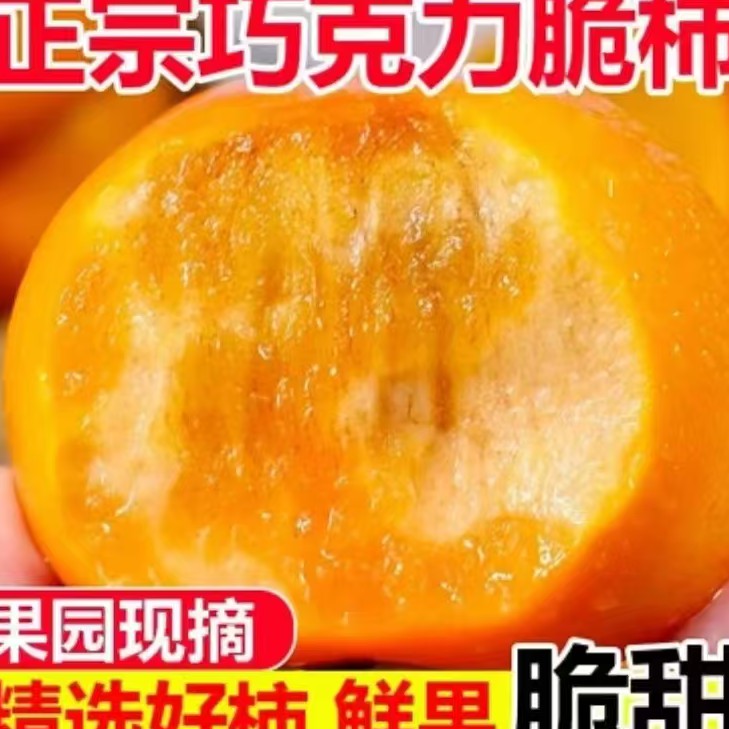 新鲜采摘香甜多汁不涩口冰糖心巧克力脆柿