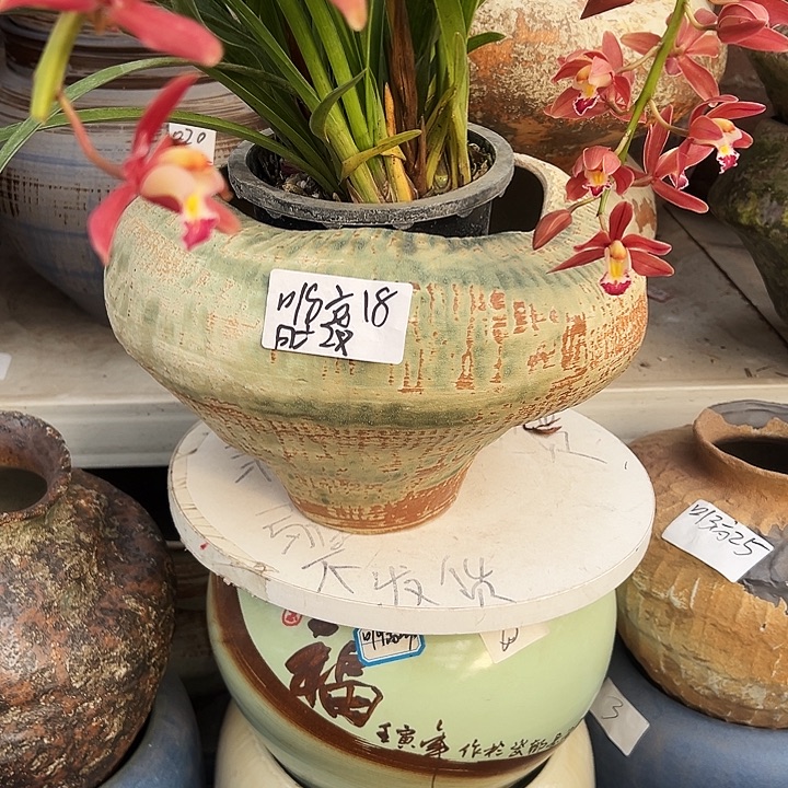 景德镇精品花盆栽适合盆栽适