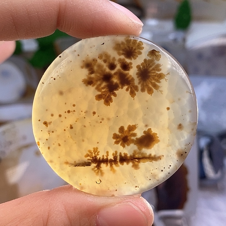 玛瑙/玉髓颈饰足银镀金镶嵌