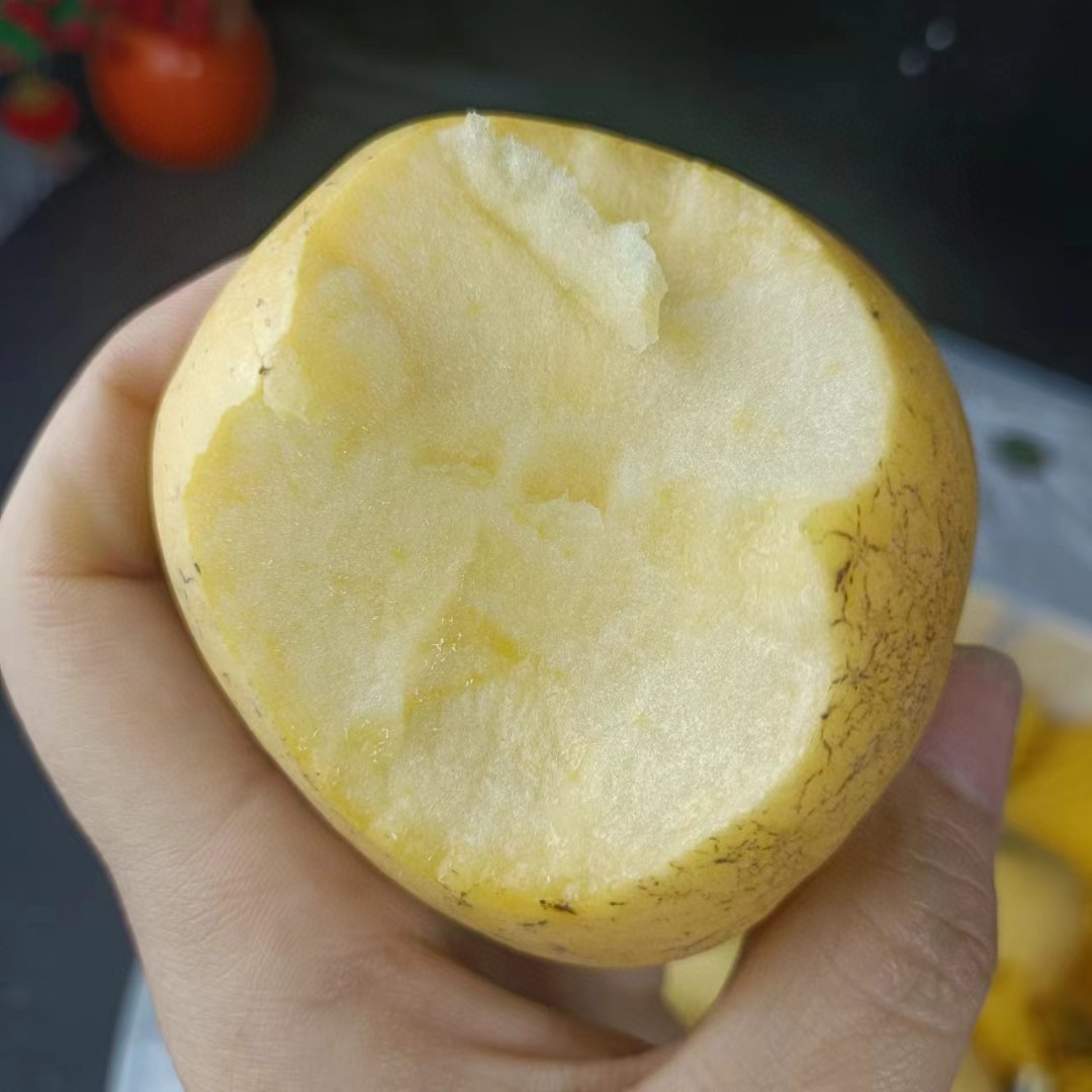 维纳斯苹果《坏果包赔》山东省