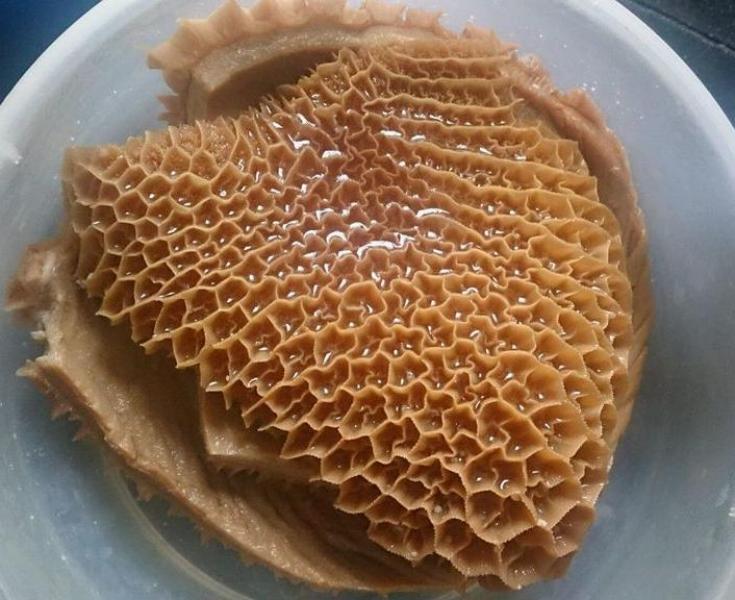 【金钱肚】直播间现场称重改价。一物一拍所见即所得