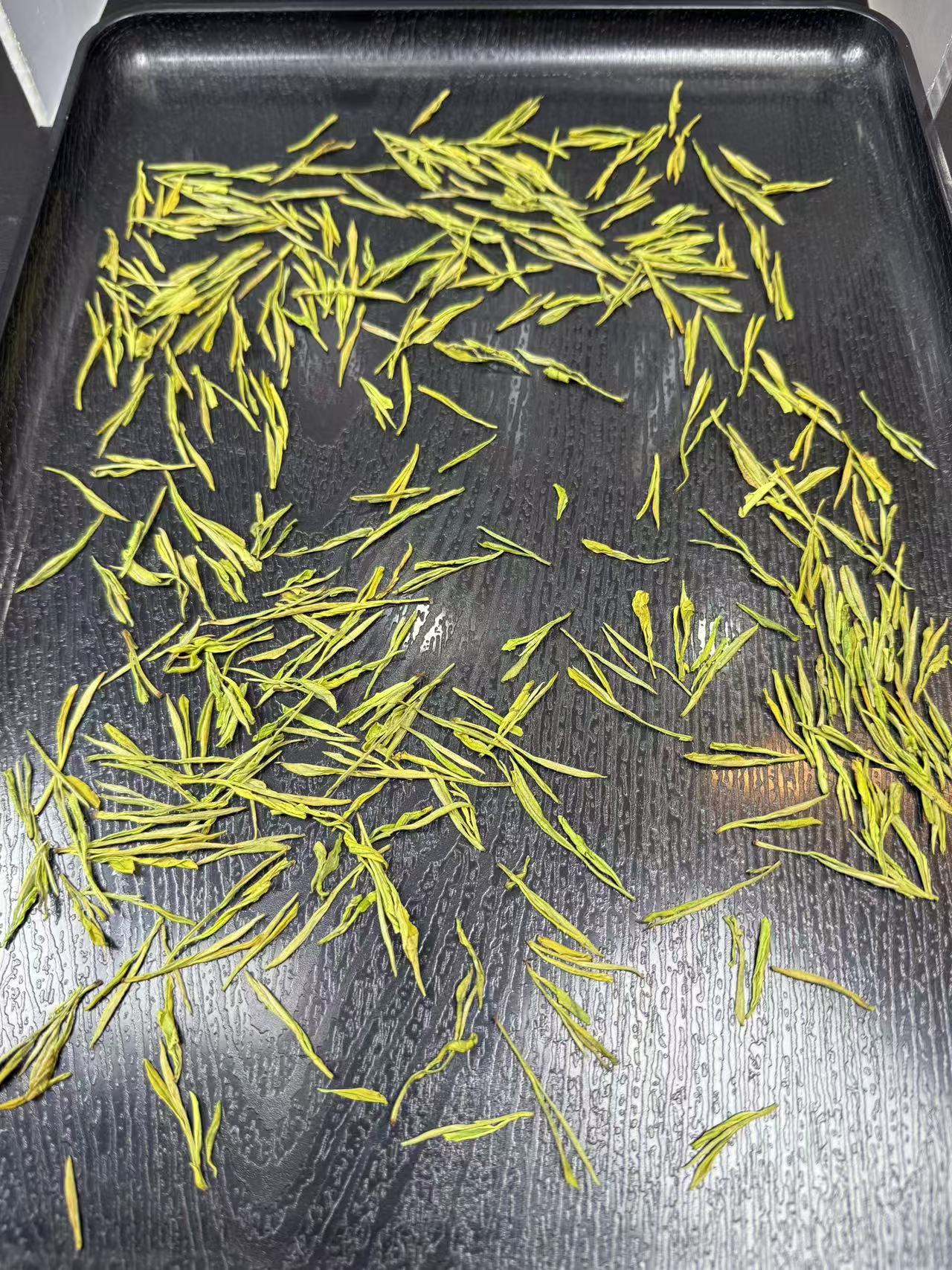 2025年明前口粮金丝大熊猫奶香黄金芽