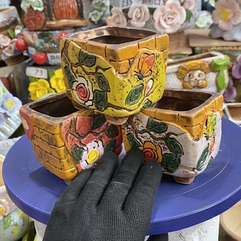 【闪购商品】红陶。