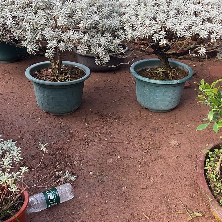 唯***港无花朵哈哈哈哈哈