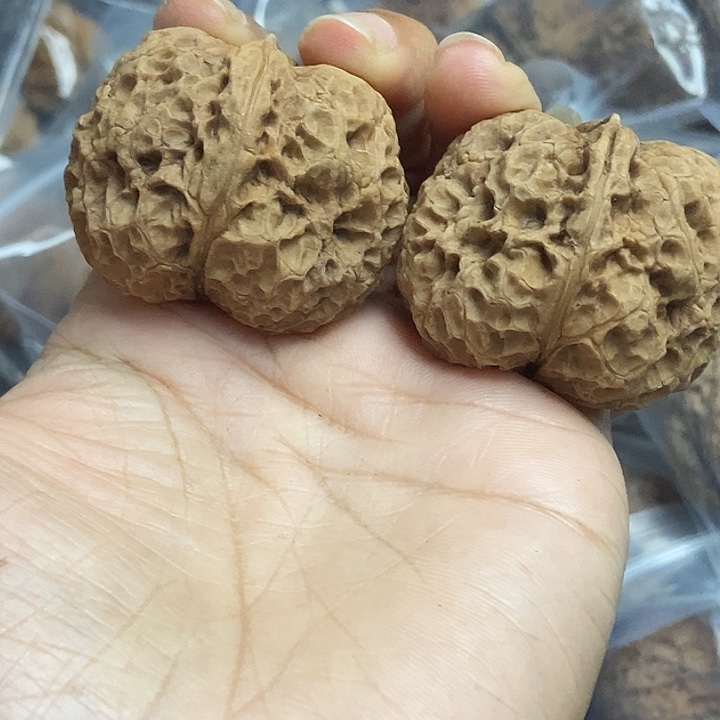 文玩核桃把件云南铁核桃基地34