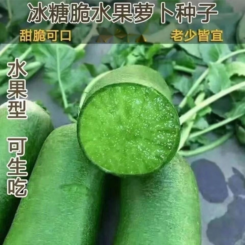 冰糖水果萝卜种子生吃脆甜农家蔬菜种孑四季播种耐热绿萝卜种子