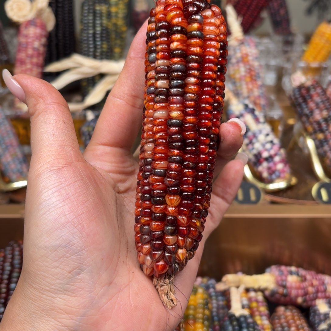 柏香籽/百香籽吊坠安*