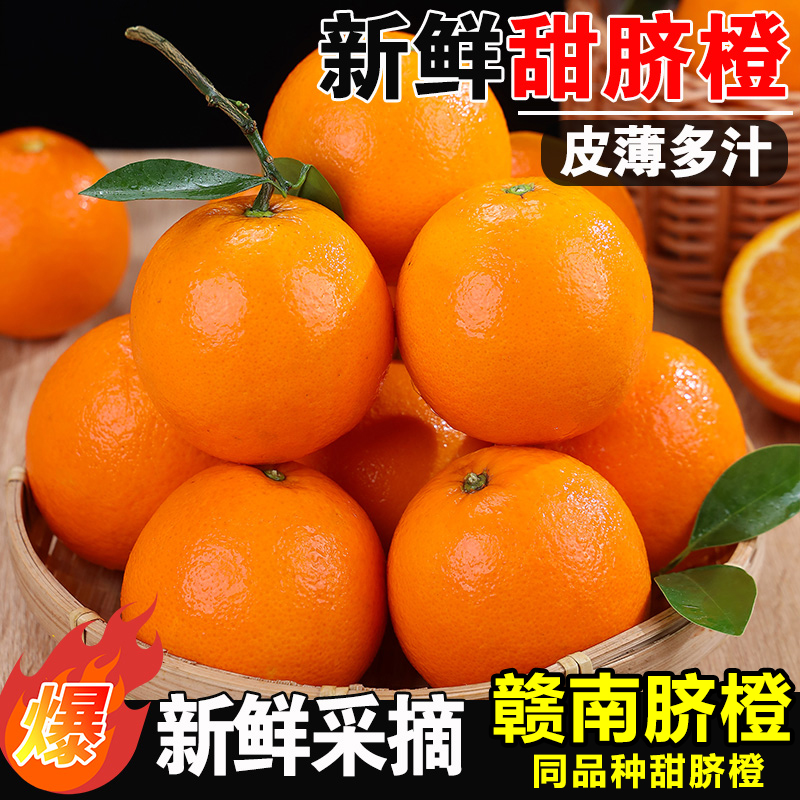 【正宗高山脐橙】赣南脐橙同品种皮薄肉厚果园直发新鲜多仓发货