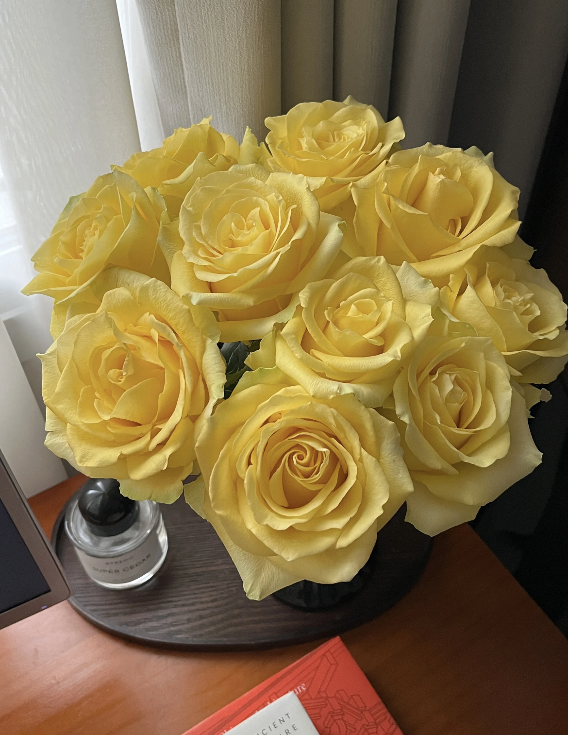 【九里花田】单头玫瑰浪漫沙滩-基地现采现发-一普通快递两单发顺丰