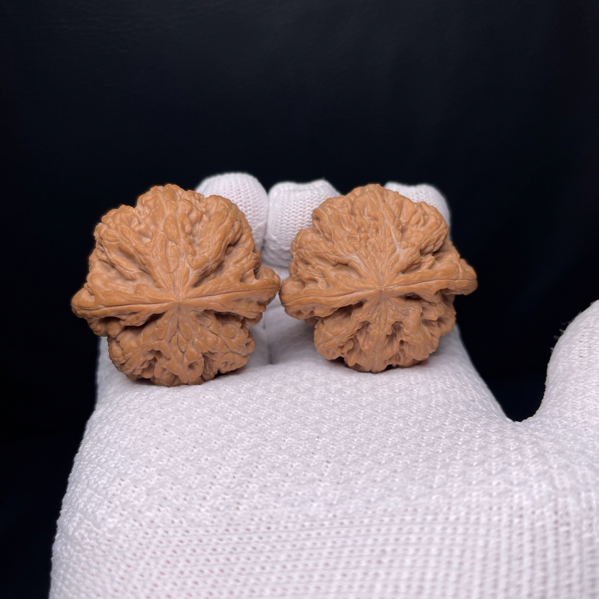 精品核桃大粗筋狮子头八筋聚顶尺寸45（编号（a250）