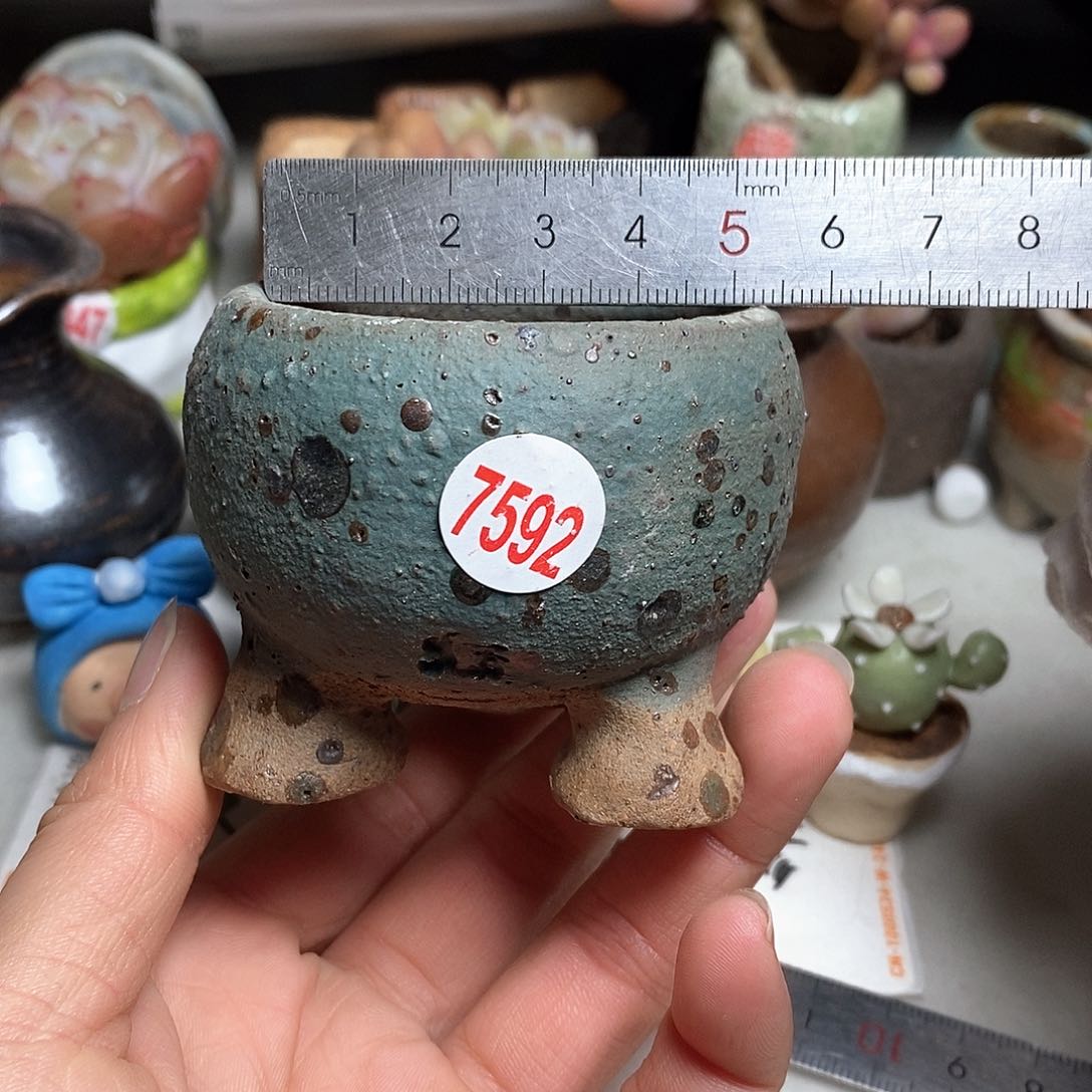 红陶拍5送一个小