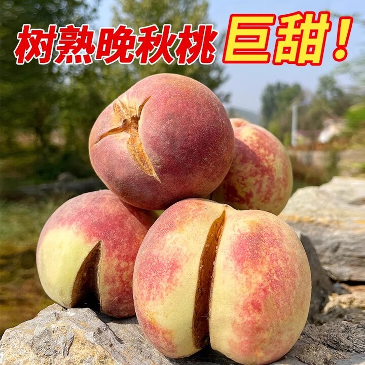 河南丑桃爆炸桃脆桃新鲜水果裂口裂纹映霜红冬桃现货应季整箱5斤