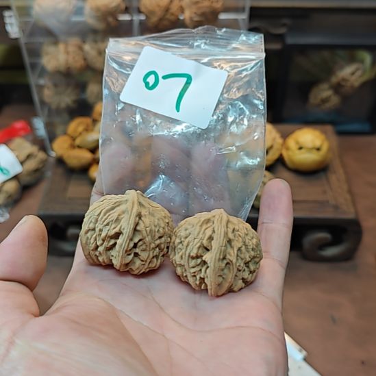 07文山两棱啊啊啊啊啊啊