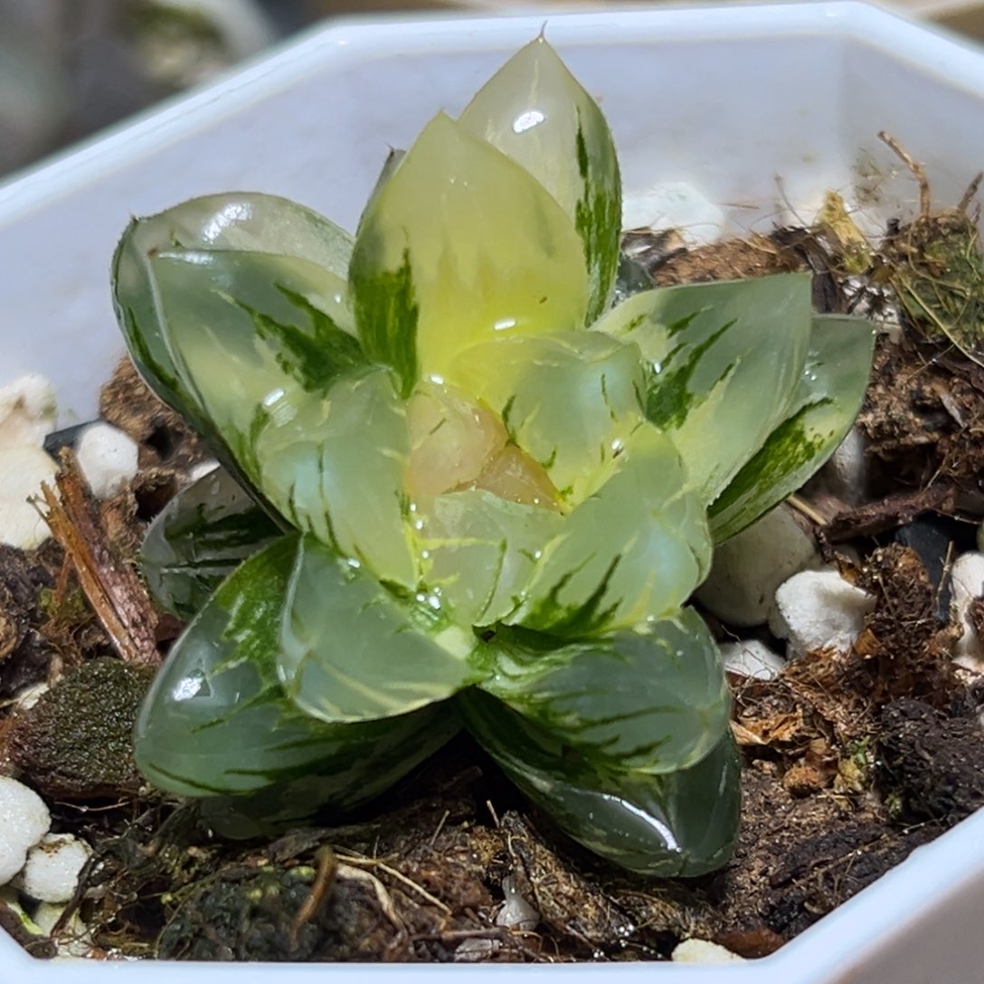 恭喜发财大吉大利947