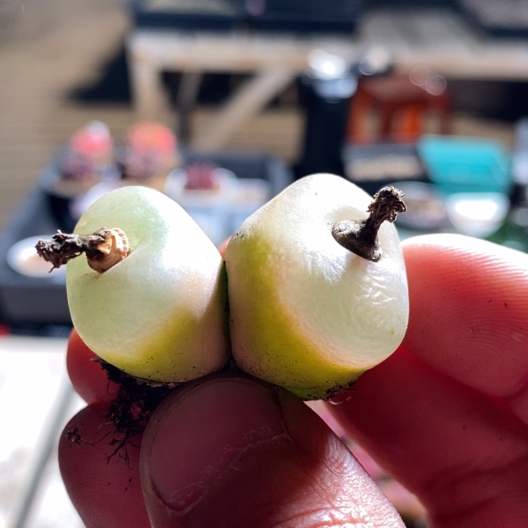 7138一个一个一个