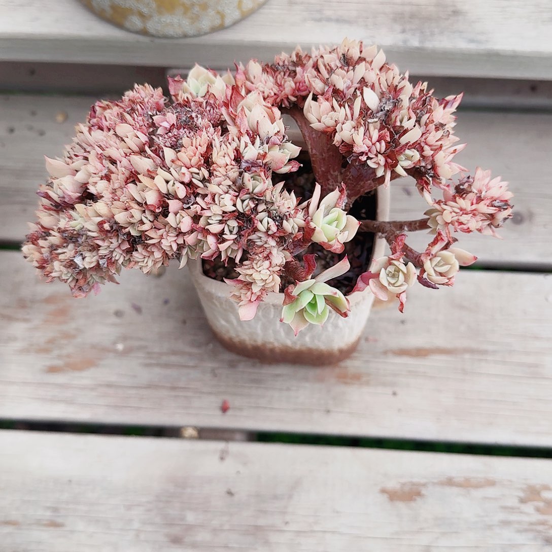 乔*哈哈哈哈哈哈哈哈哈哈哈