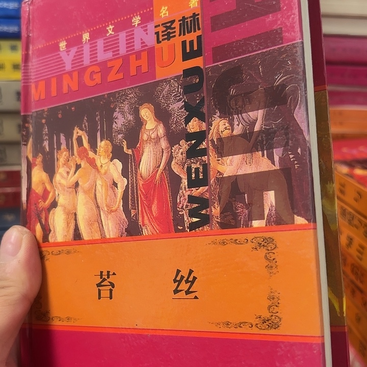 苔丝，精装版，二手书籍