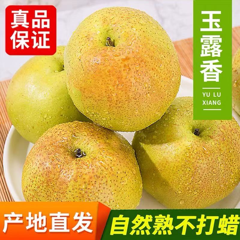 【去年的品质跟口感】2025年头茬隰县玉露香梨脆甜多汁 皮薄肉厚【到货24小时售后 超24无】