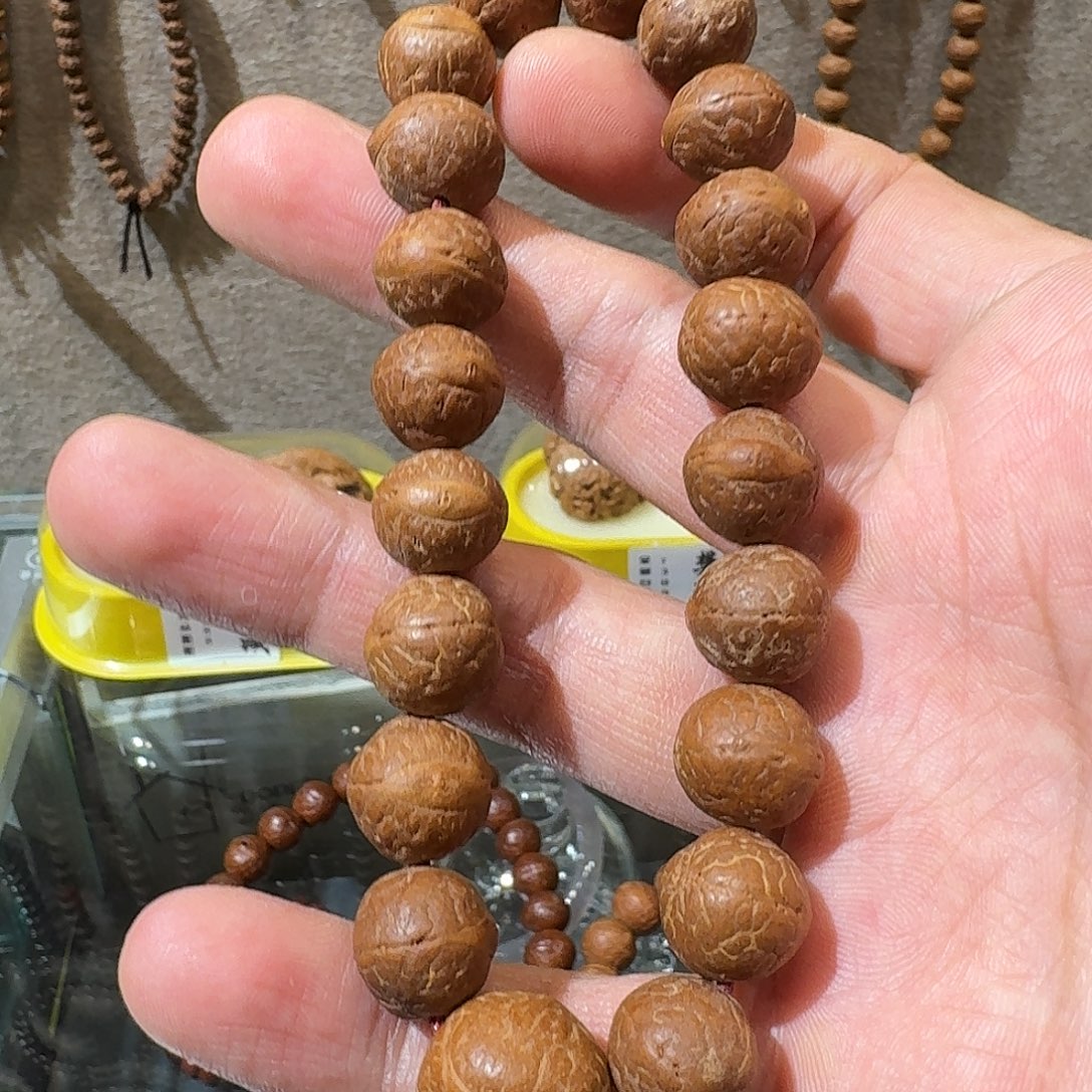 樊藏清仓凤眼菩提12.5