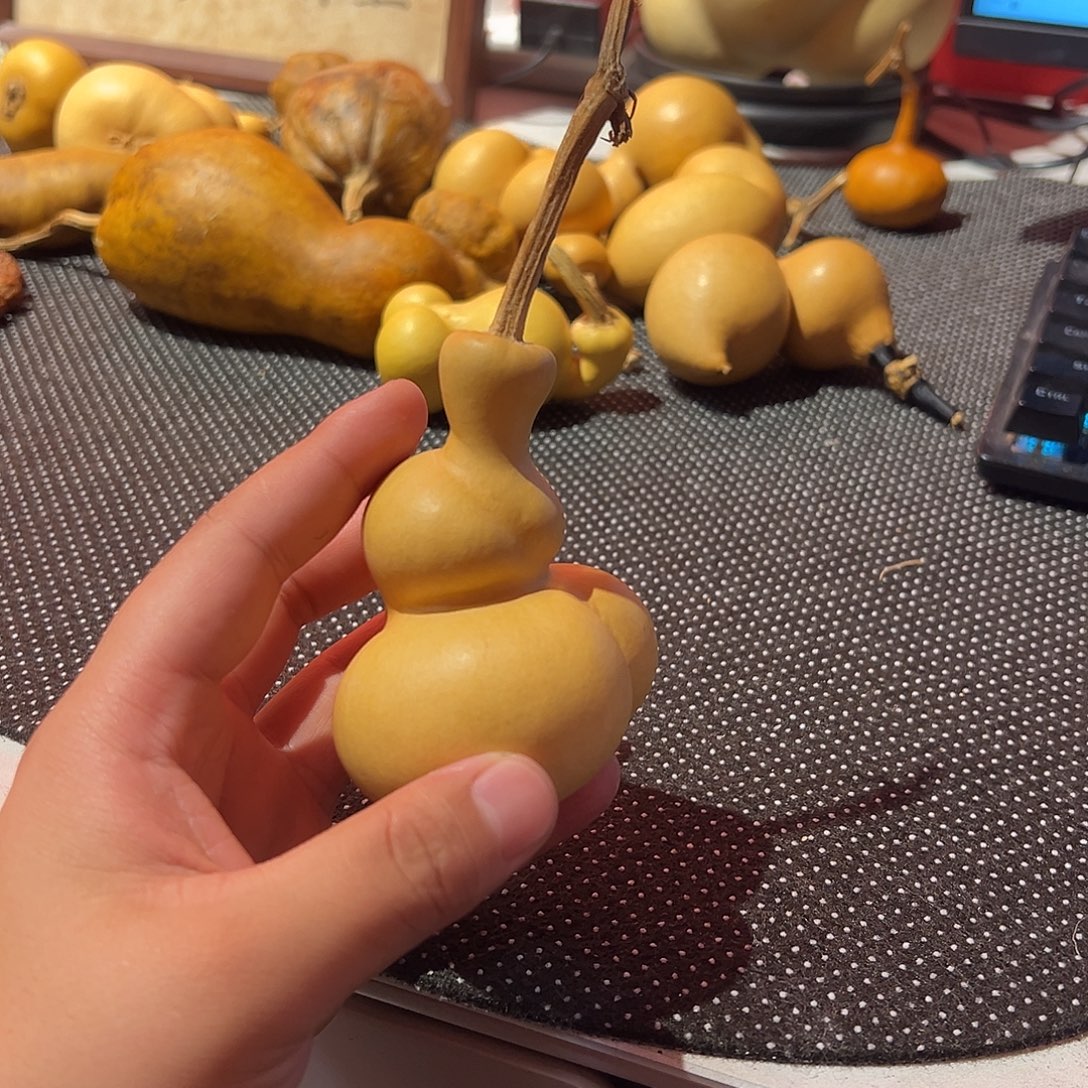 瑾***～哈哈哈哈哈哈哈哈哈哈哈哈哈