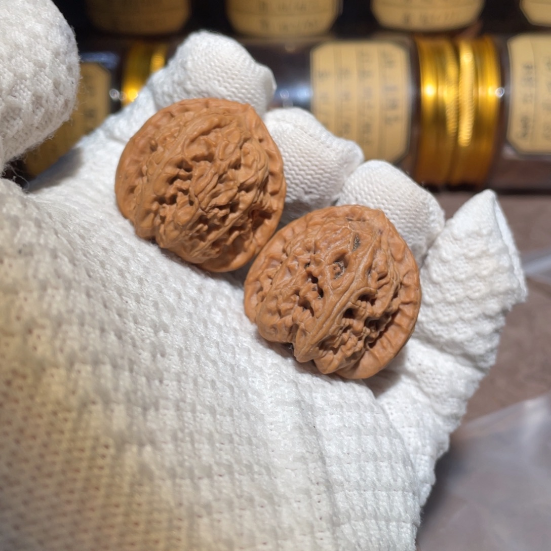 核桃33三角白bbbbbb