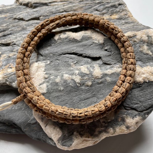 红牙方块顺•热振柏香籽红牙方块顺高油高密毕业热振百香籽