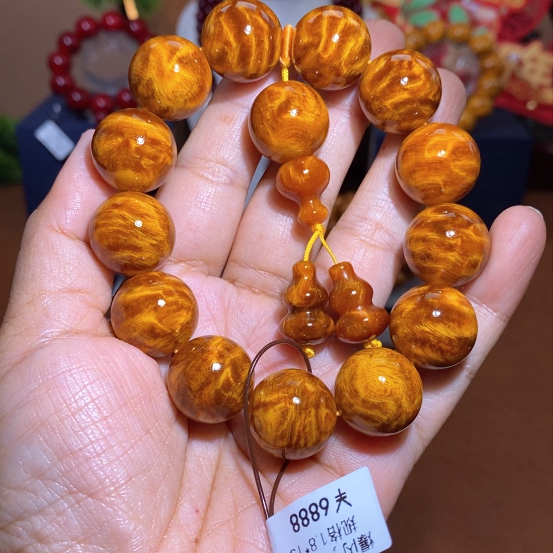 贝壳杉1.8爆龙胆顶品就一条