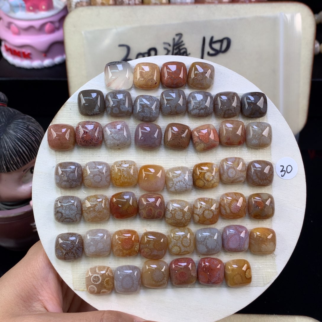 硅化珊瑚（珊瑚玉）未镶嵌颈饰30元一个可挑（90号）