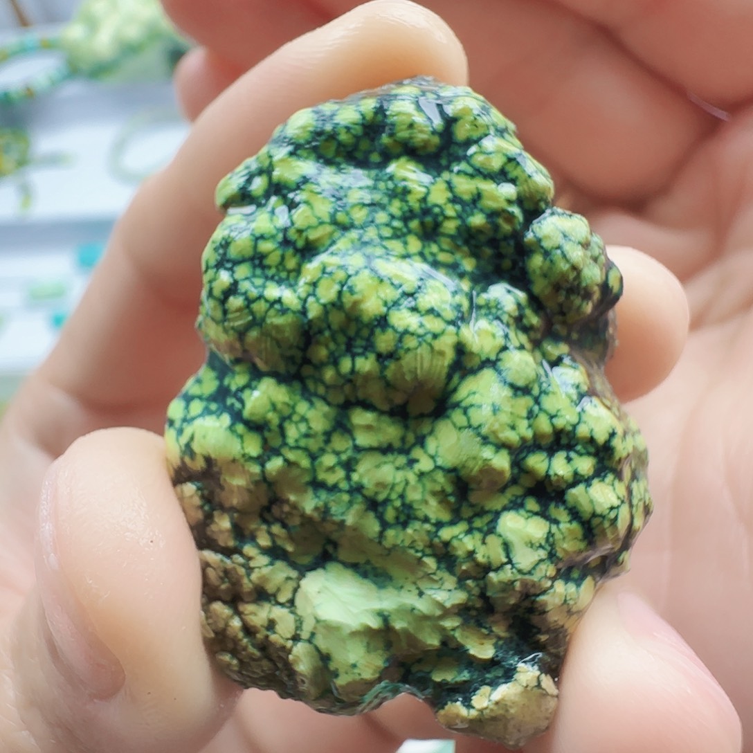 绿松石未镶嵌颈饰菜籽荧光色系水草纹