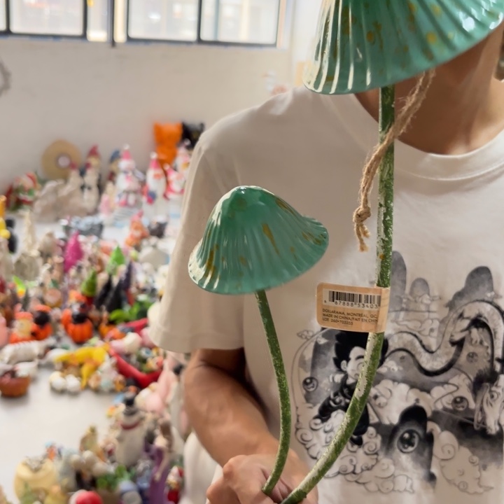 盖碗样品样品样品