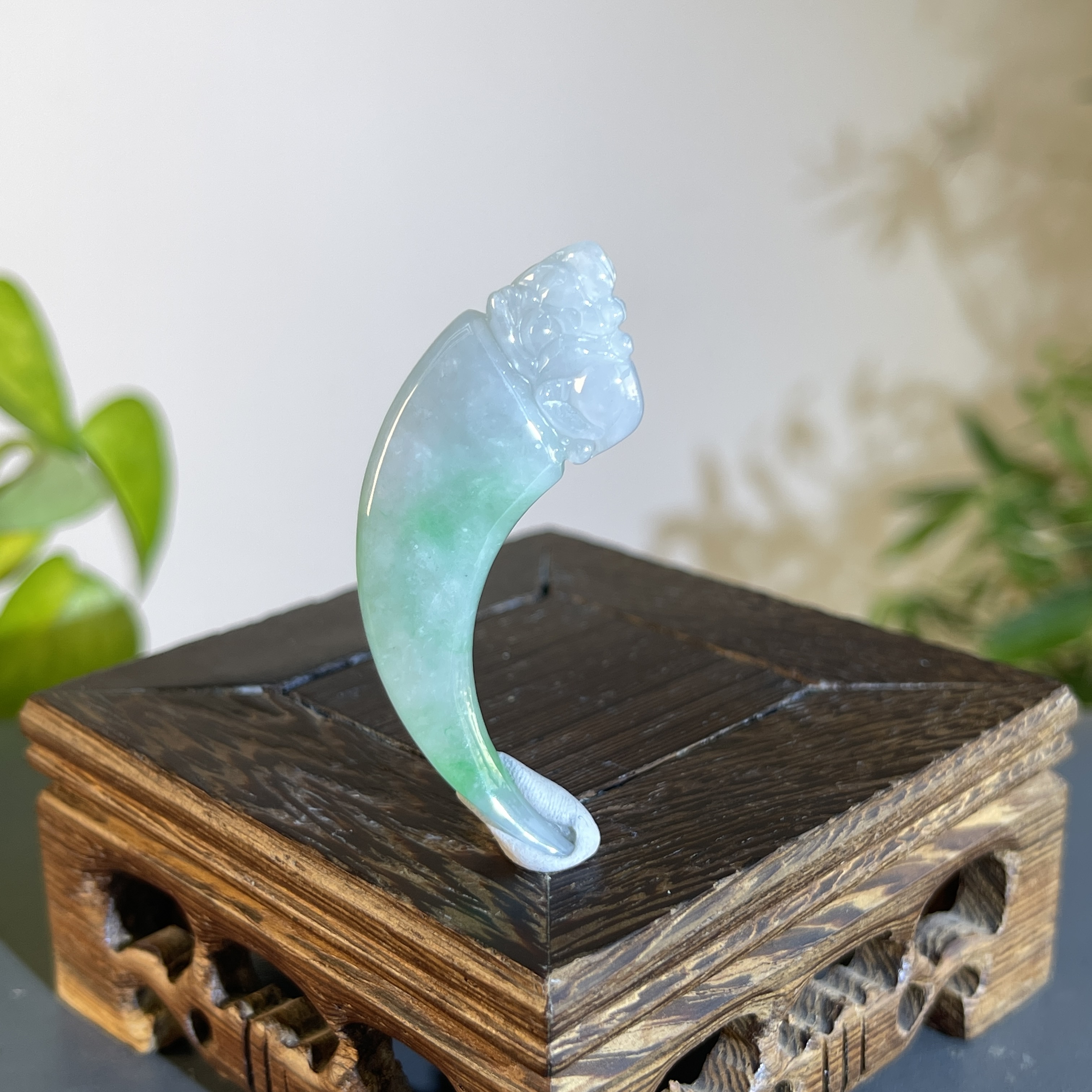 JTW20-27 天然翡翠缅甸A货 龙牙